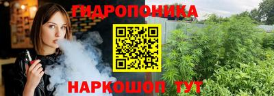 шишки Балаково