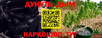 шишки Балаково