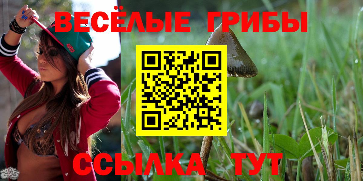 Гусь-Хрустальный  Галлюциногенные грибы Psilocybine cubensis  Галлюциногенные грибы Cubensis  Вход с VPN 