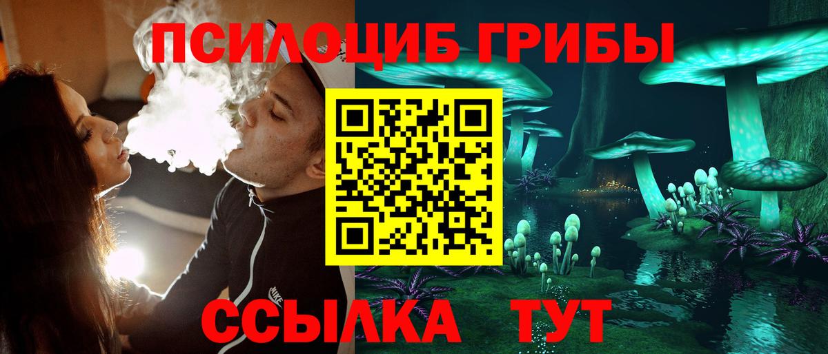 Галлюциногенные грибы мицелий Гусь-Хрустальный
